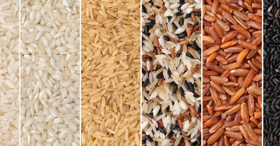 Choosing the Right Rice for Every Dish Choosing the Right Rice for Every Dish: A Complete Guide